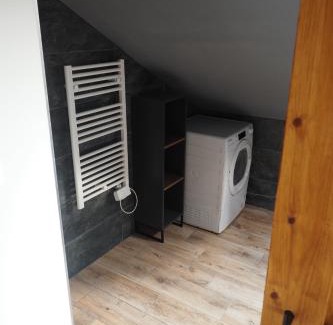 Bila Tremesna Apartment | Apartmán U Borovice