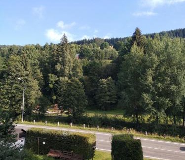 Velka Upa Apartment | Apartmán u kostela