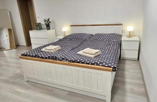 Bela pod Pradedem Apartment | Apartmán U Peciho