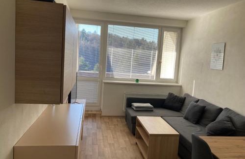 Vsemina Apartment | Apartmán Všemina 300