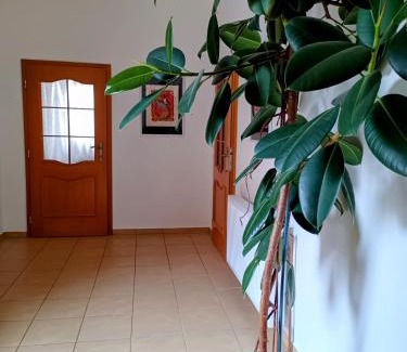 Decin Apartment | Apartmán Waldruh s terasou