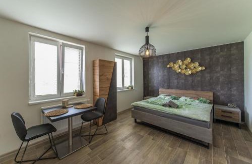 Trebon Apartment | Apartmány Agave