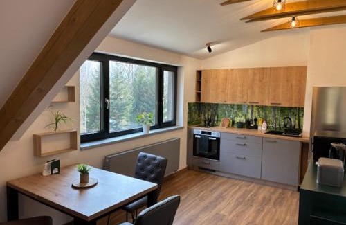 Lesna Apartment | Apartmány Camping Český les