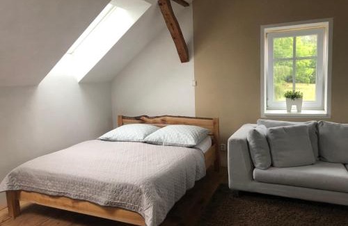 Bor u Tachova Apartment | Apartmány Kosov 1