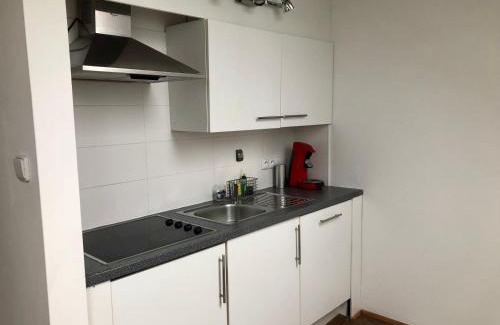 Bor u Tachova Apartment | Apartmány Kosov 2