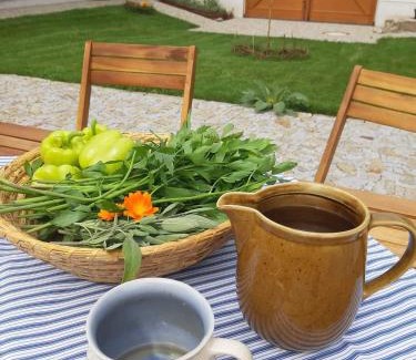 Nova Bystrice Apartment | Apartmány Marie Albeř