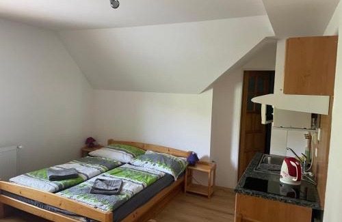 Pec pod Snezkou House | Apartmány Penzion Koula