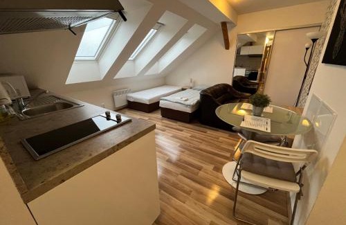 Brno Apartment | Apartmány Skryjova