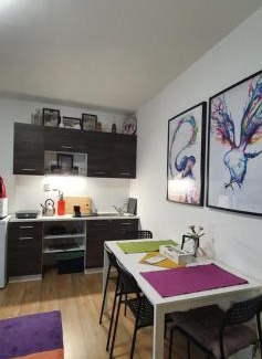 Roznov Pod Radhostem Apartment | Apartmány Tylovice