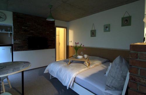 Hlucin Apartment | Apartmány u Bašty