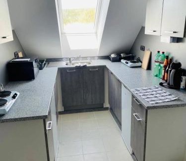 Malsin Apartment | Apartmány Větrná 29