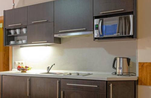 Roznov Pod Radhostem Apartment | Apartmány Vila Hedvika