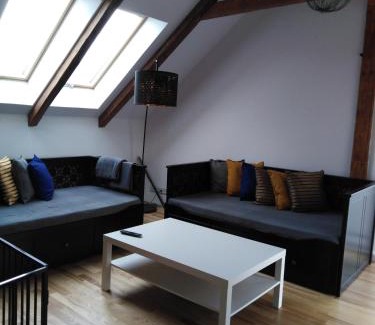 Vojnuv Mestec Apartment | Apartmány Vojnův Městec
