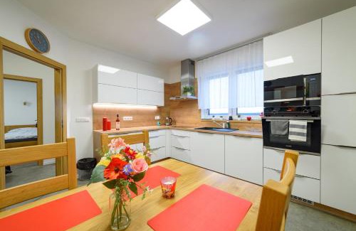 Plana nad Luznici Apartment | Apartmány Volavka 2