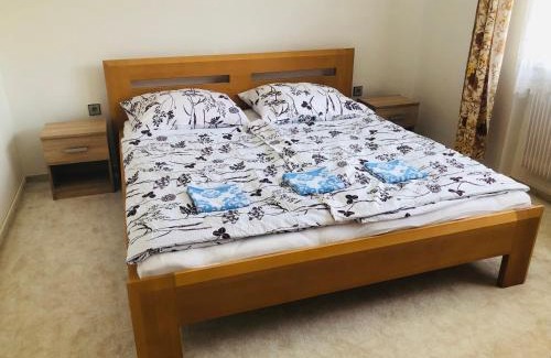 Hamry nad Sazavou Apartment | Apartmány Zelená Hora s velkou zahradou