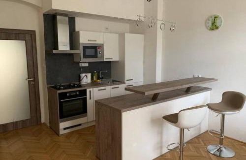 Usti nad Labem Apartment | Apartman Centrum 301