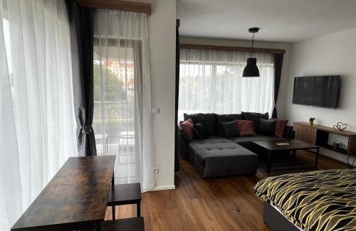 Plzen Apartment | Apartman Champion III