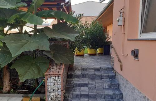 Sturovo House | Apartman Fortuna
