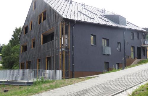 Dolni Morava Apartment | Apartman Honey