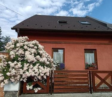 Liptovsky Mikulas Apartment | Apartman U Adamov