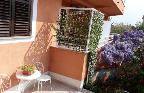 Finida Apartment | Apartmani Lina