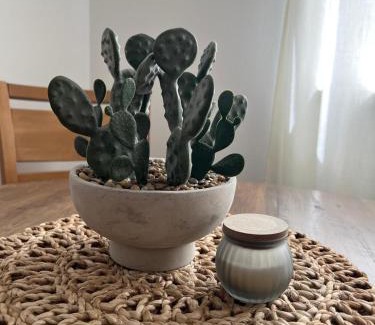 Seoci Apartment | Apartmani Pervan 2
