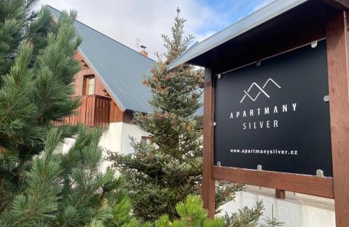 Rokytnice nad Jizerou Apartment | Apartmany Silver