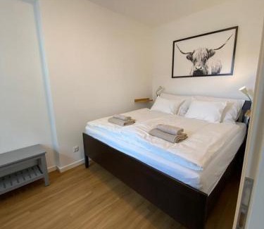 Tachov Apartment | Apartmany Tachov - Couple