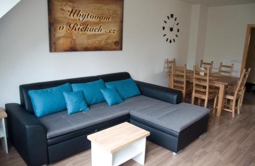 Ricky v Orlickych horach Apartment | Apartment Říčky V Orlických Horách