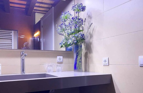 Olot Apartment | APARTMENT 1-1