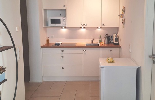Freiburg im Breisgau Apartment | Apartment '3, 42qm' with Balcony, Wi-Fi and Air Conditioning