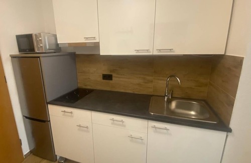 Waldkirchen Apartment | Apartment (32sqm) with kitchenette