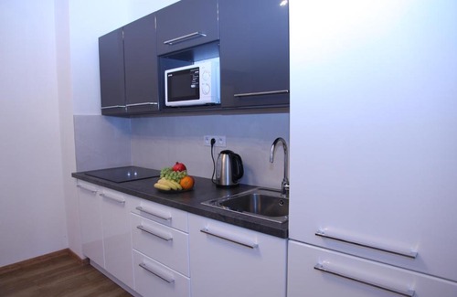 Marianske Lazne Apartment | Apartment Alex