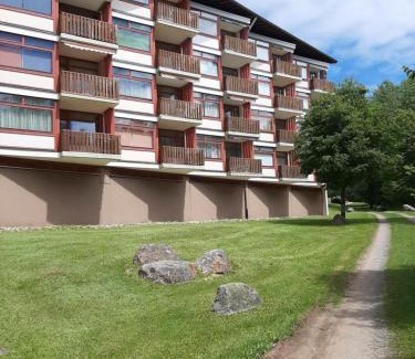 Schluchsee Apartment | Apartment Anja