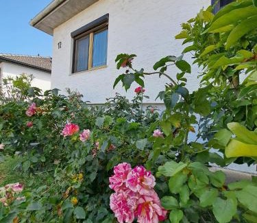 Marchegg House | Apartment Anna - Austrian country house in Marchfeld im Weinviertel