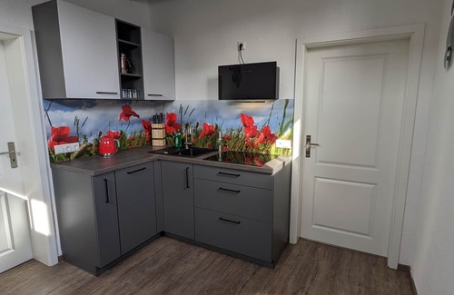 Muritz Apartment | Apartment/apartment for 3 guests with 55m² in Penzlin (272692)