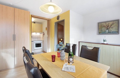 St. Blasien Apartment | Apartment 'Appartement C, 45qm' with Shared Garden and Wi-Fi