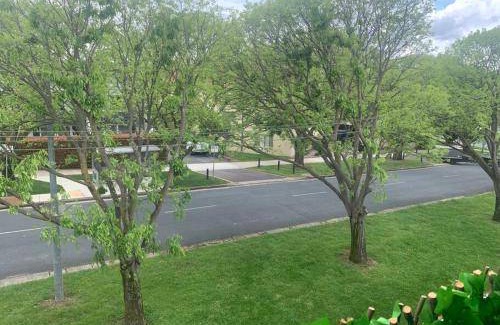 Kingston Apartment | Apartment ∙ 2 bedrooms ∙ 6 guests