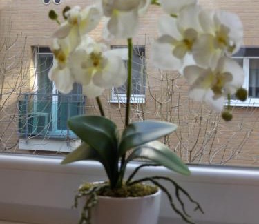 Corvin negyed Apartment | Apartment Avanti Budapest