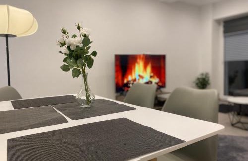 Bad Friedrichshall Apartment | Apartment Business Suite mit 2 Schlafzimmer & Parkplatz, Fußbodenheizung & Netflix Premium, Zentral zu Audi & Schwarz Gruppe