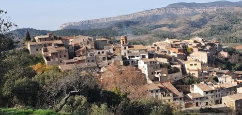 Torroja del Priorat Apartment | Apartment Cal Viola