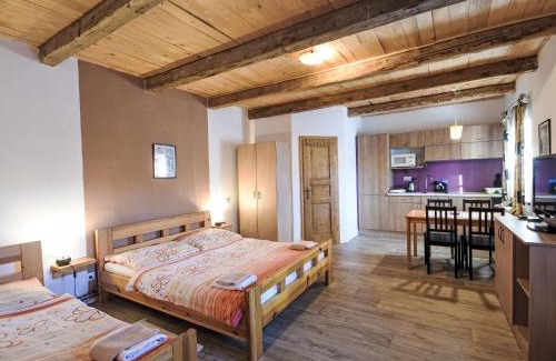 Horni Plana Apartment | Apartment Comfort in Farmhouse by Interhome
