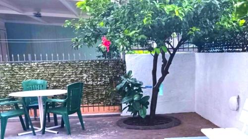 Velji Vinogradi Apartment | Apartment Conner Montenegro Budva