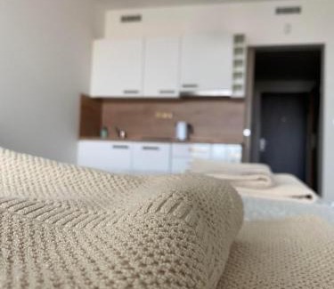 Prague 9 Apartment | Apartment David O2 Arena Prague