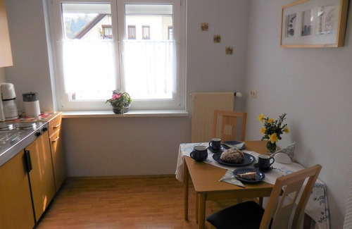 Bad Soden-Salmuenster Apartment | Apartment 1, 35 sqm, living/bedroom, kitchenette, balcony, max. 2 persons