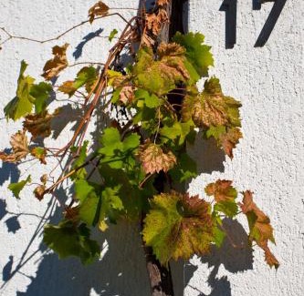 Njivice Apartment | Apartment Draga 17