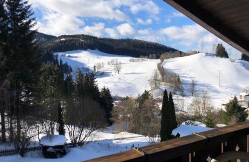 Spital am Semmering Apartment | Apartment Fam. Zappe