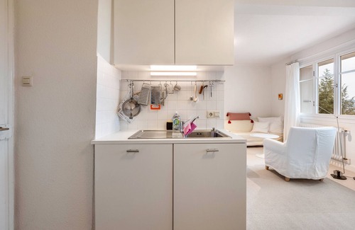 Schopfheim Apartment | Apartment 'Ferienwohnung 1' with Mountain View, Shared Terrace and Wi-Fi