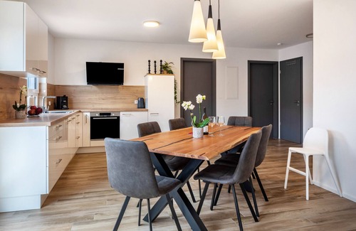 Ebringen Apartment | Apartment 'Fewo Ebringen Weinbergblick' with Mountain View, Balcony and Wi-Fi