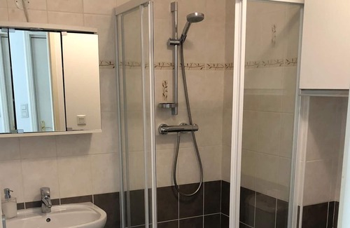 Allonzier-la-Caille Apartment | Apartment-Comfort-Private Bathroom
